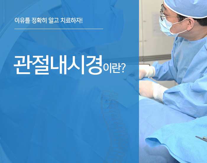 이미지명