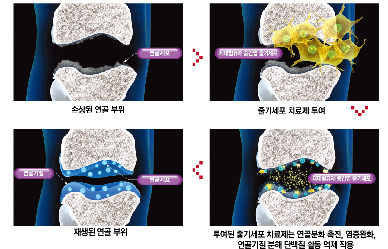 이미지명