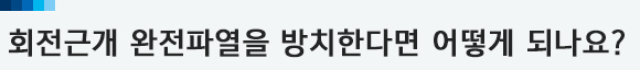 이미지명