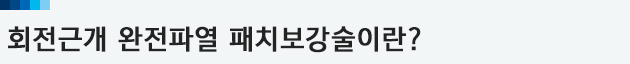 이미지명