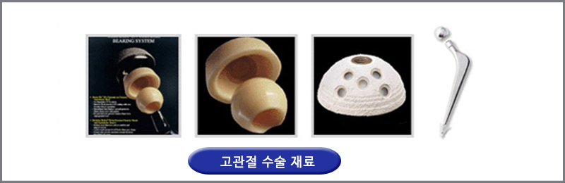 이미지명