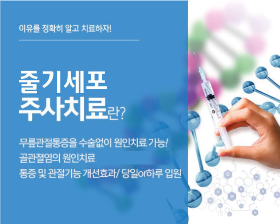이미지명