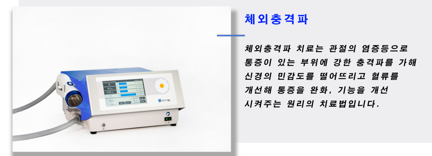 이미지명