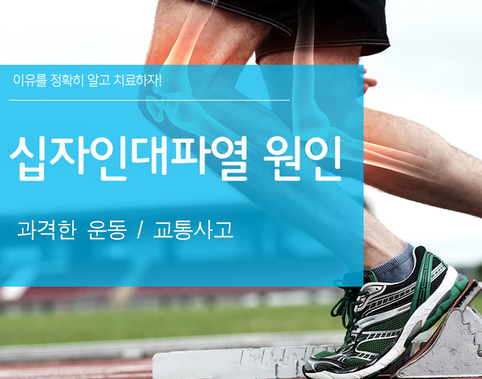 이미지명