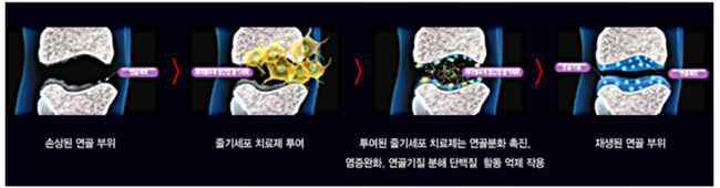 이미지명